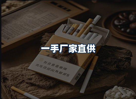 专业团队办公环境